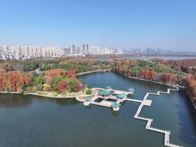 初冬东湖色彩斑斓