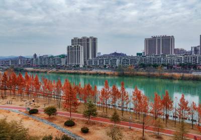 竹山县五福堂幼儿园 红树林里认识大自然