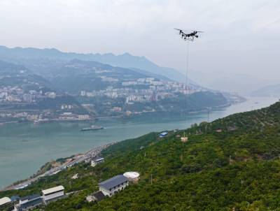 湖北巴东：冬橙丰收（客户端采稿）