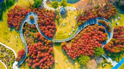 湖北武汉：5G智慧公园沉浸式体验“公园20分钟效应”