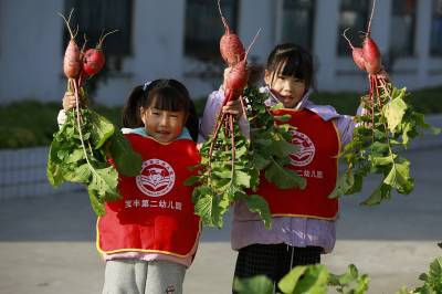 田园课堂育新苗 劳动教育润童心