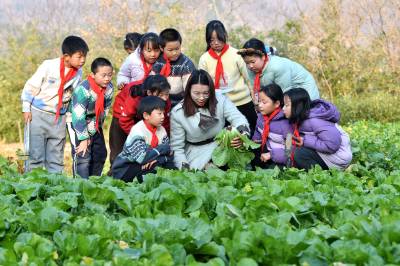 “校园农场”迎丰收 “田间课堂”助成长