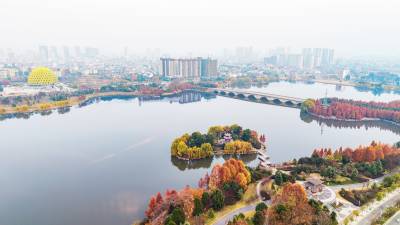 湖北浠水：城市公园 冬景如画