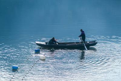 秭归水田坝：水库冬捕忙