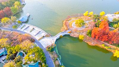 湖北武汉：城市公园 冬景如画