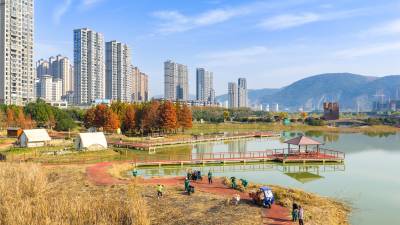 湖北黄石：冬日湿地公园景美如画