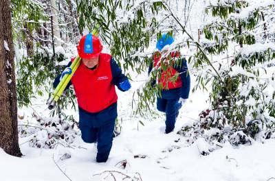   踏雪迎寒护光明