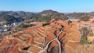 房县：治理水土流失 守护绿水青山