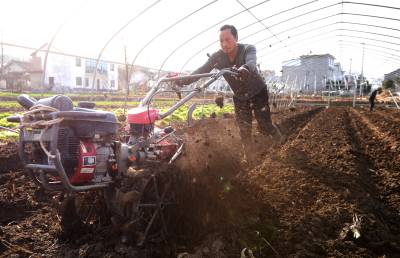 房县：蔬菜产业备耕忙