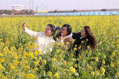 五彩油菜花田：科技赋能乡村振兴的绚丽画卷