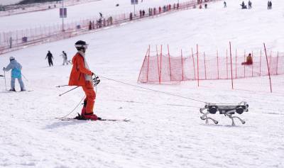 机器狗上岗 开启“冰雪+”新篇章（客户端采稿）