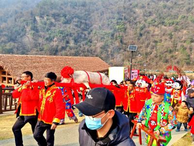 湖北十堰：茅塔乡忆乡坪举办杀猪宴迎新春活动