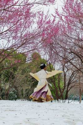 雪映梅开 硚口梅花坡绘就冬日人文盛景