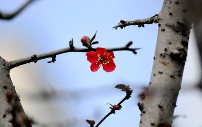 湖北保康：立春至  春意浓