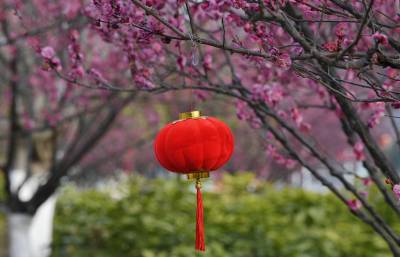 湖北保康：小年到  年味浓