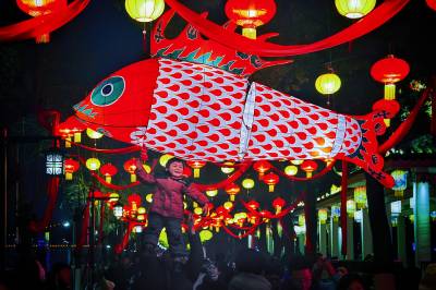 汉阳灯会璀璨启幕 点亮江城新春夜