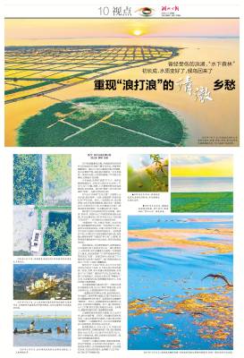 2026.1.4 重现“浪打浪”的清澈乡愁