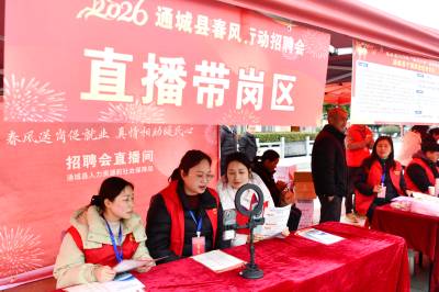 湖北通城：“春风行动”助力家门口稳岗就业（客户端采稿）
