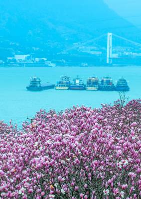 三峡春色如诗画