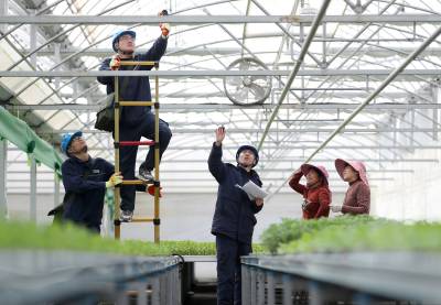 湖北荆门：智能温室大棚建设忙（客户端采稿）