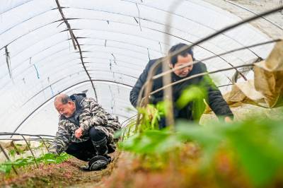  浠水：惊蛰将至农事忙
