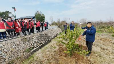 枝江：开展“学雷锋助春耕”活动