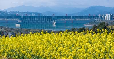 三峡大坝春色美
