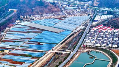 发展蔬菜大棚助农增收