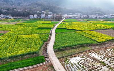 湖北保康：田园春光入画来