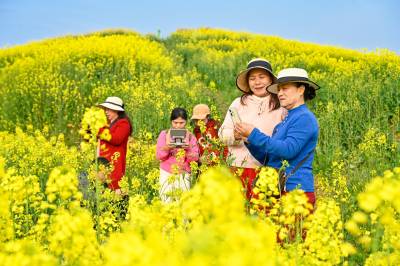 浠水：油菜花海引客来 农旅融合促振兴（客户端采稿）