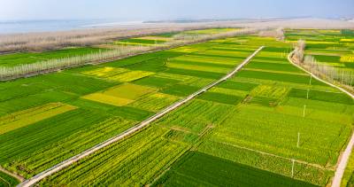 嘉鱼护县洲七彩大地春色美