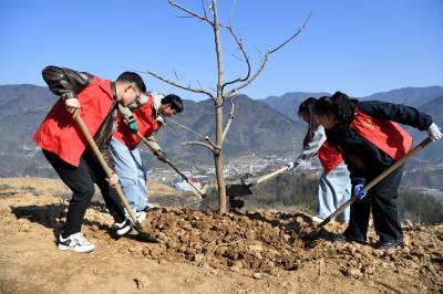义务植树添新绿
