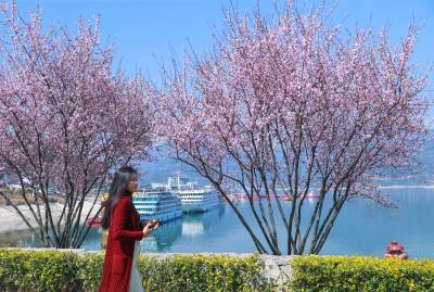 踏青赏花享春光