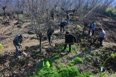 竹山县植树增绿添彩