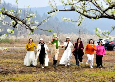 湖北南漳：“李”花接力樱桃花 大山深处游人醉