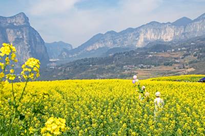 湖北恩施：畅游花海享春光