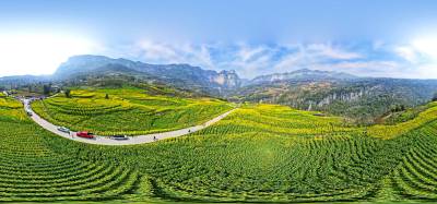 湖北恩施：农旅融合绘春景