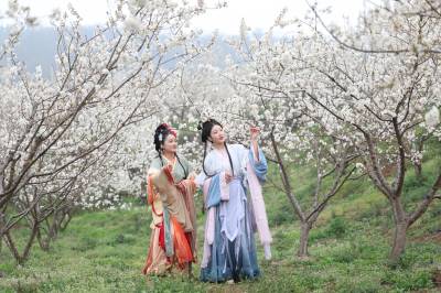 穿汉服 游花海