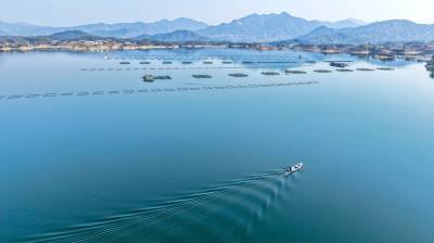 黄冈白莲河示范区：生态养殖绘就水乡振兴新画卷（客户端采稿）