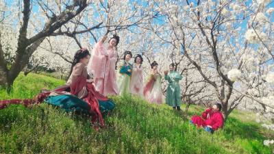 古韵踏春！沙窝乡千秀谷樱桃花海引客来（客户端采稿）