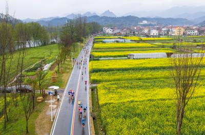 远安万亩花海催生“美丽经济” 