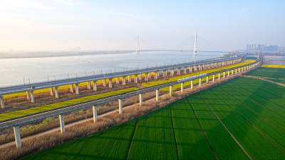 湖北武汉：春日画卷 生机盎然（客户端采稿）