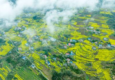 鎏金乡村醉春光