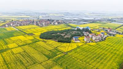  武穴：乡村美景入画来