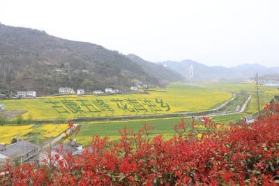 郧阳五峰  春醉花香