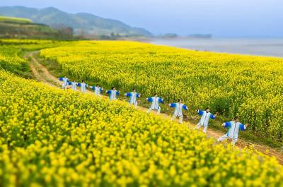 库岸舞太极 花田醉春光