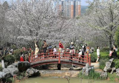 湖北荆门：市民“出门入园”享乐春光