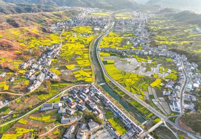 竹山：油菜花海醉游人 乡村公路成风景线