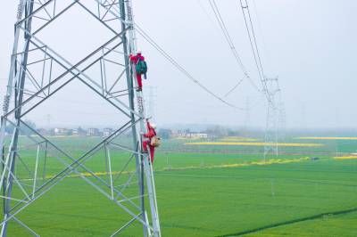 湖北荆门：护鸟护线 共筑安全