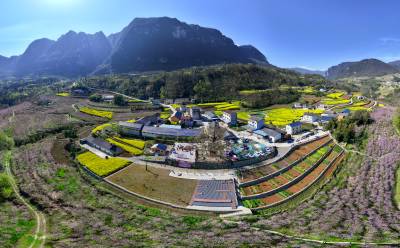 湖北秭归：青山映花海 乡村美如画